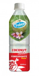 500ml Fruit Flavour Coconut Water